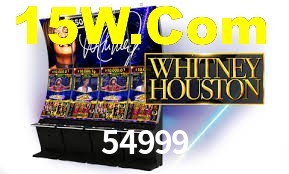 Programa VIP 54999